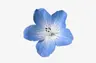 Profile picture of madie's archives