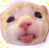 Foto do perfil de Sea Sote